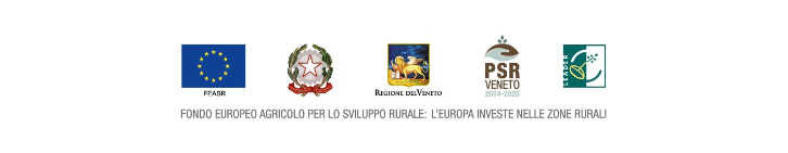 contributi ricevuti